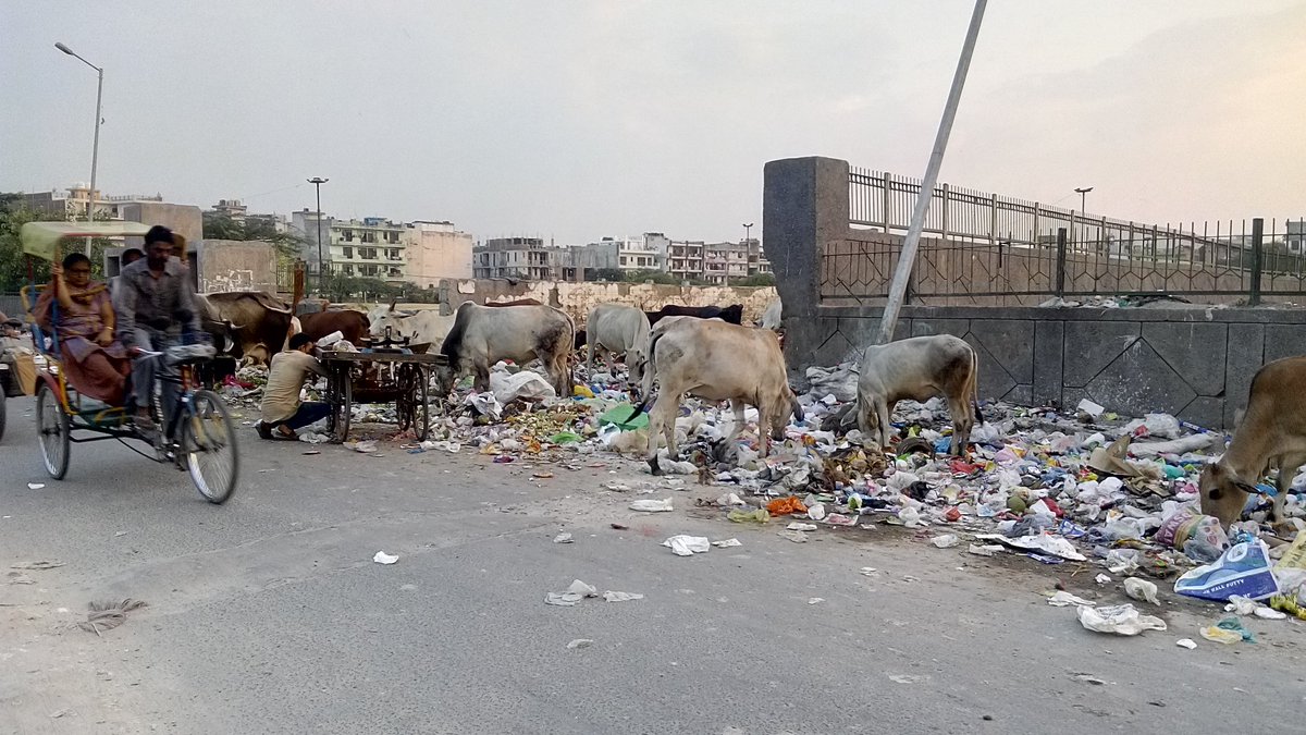 FuloriaAnil's tweet photo. Delhi Sarkaar kar rahi hai chikankuniya or dengu se ladhne ki taiyaari
Lagta hai ye modi ji night mai rakh jaate hai https://t.co/gml5FsO7TT