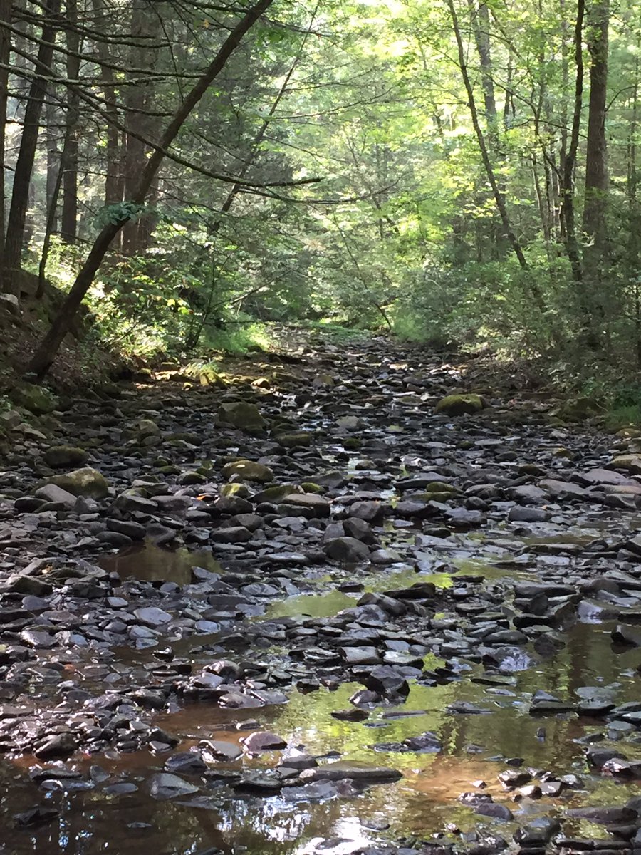 rungriffinrun's tweet photo. Who needs a trail, I can't be stopped! 3 weeks til Grindstone 100 miler. #EarnYourSpot #USContest @UARunning https://t.co/YFoOPA3PNy