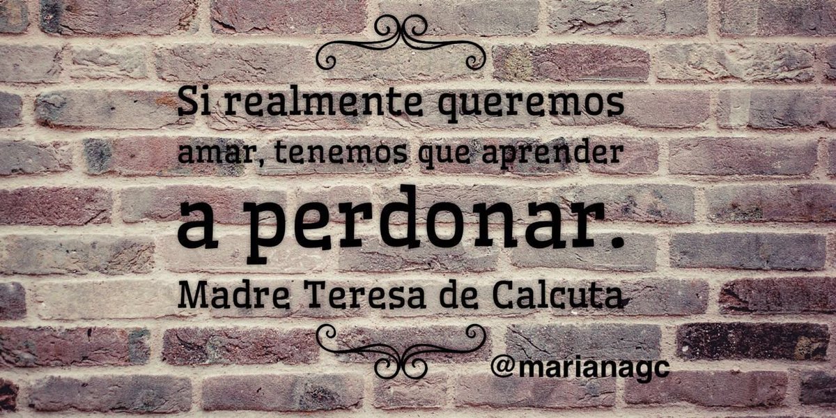 Mariana Gómez del Campo tweet media