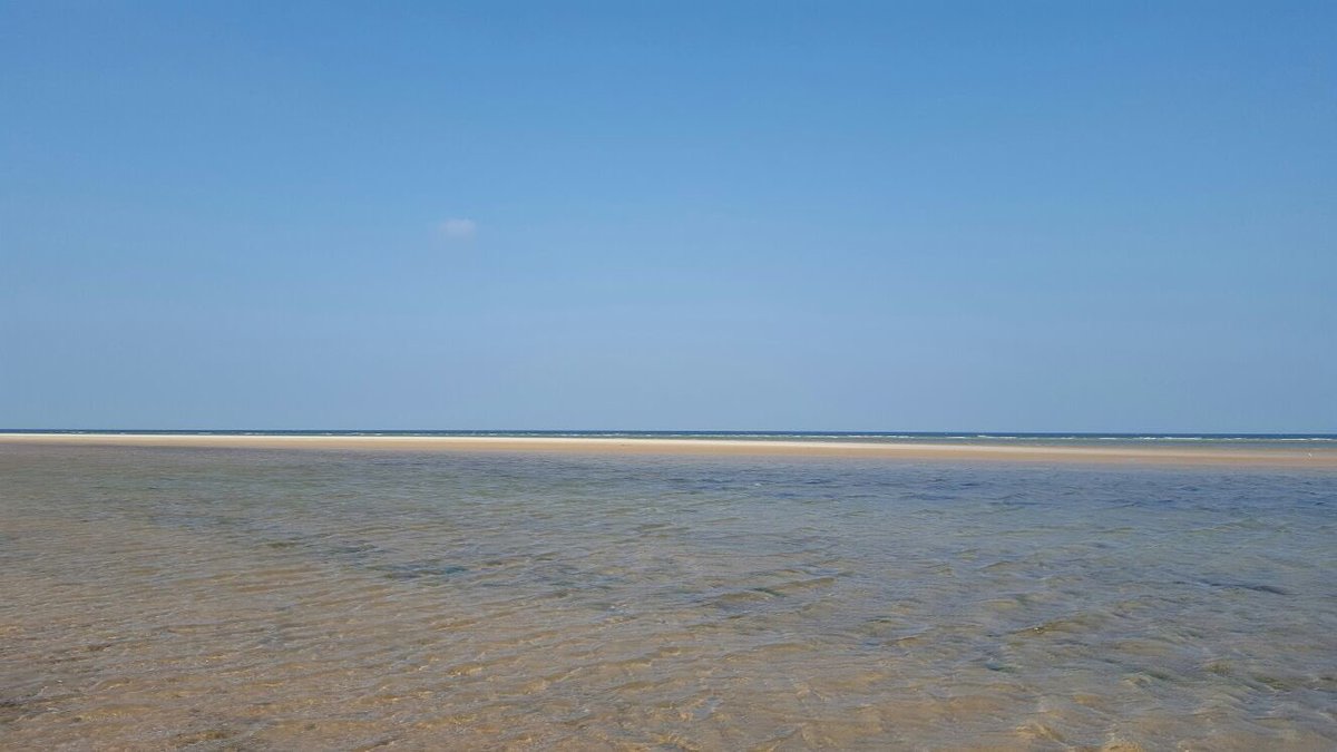 CranmerCottages's tweet photo. What amazing weather we are having - can't believe it is the middle of September #NorfolkHeatwave https://t.co/FdXbrw6N59