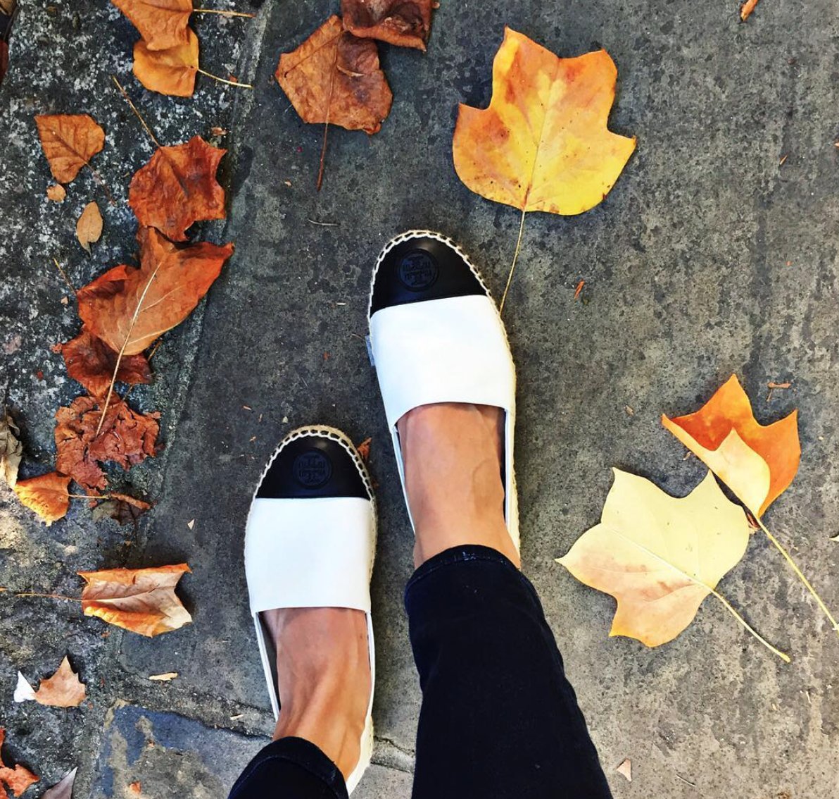 Add Some Fall Flavor for Your Restaurant's Online Marketing. #Miami #Hospitality 
bit.ly/2cH78Ou