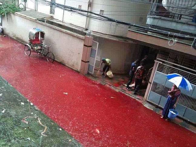 Prikaži sliku na Twitteru Prikaži sliku na Twitteru