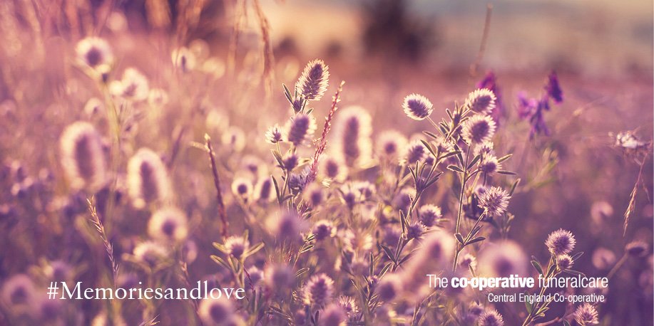 We have signed the #fairfuneralspledge Find out more at ow.ly/ET6g3047luR