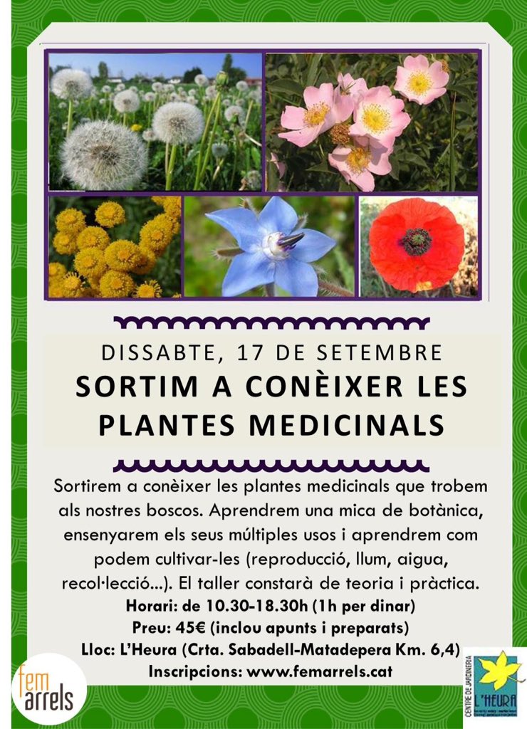 femarrels's tweet photo. Aquest dissabte, sortida de plantes medicinals a Sabadell https://t.co/voguDa1hPF