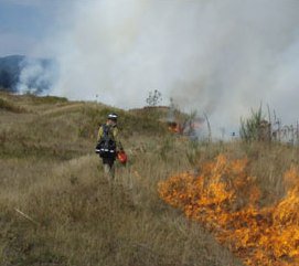 waDNR_fire's tweet photo. #Controlledburn today, or later this week, at #MimaMounds & #RockyPrairie natural areas https://t.co/4IGNnxVhK5 https://t.co/Cpr72JoMpa
