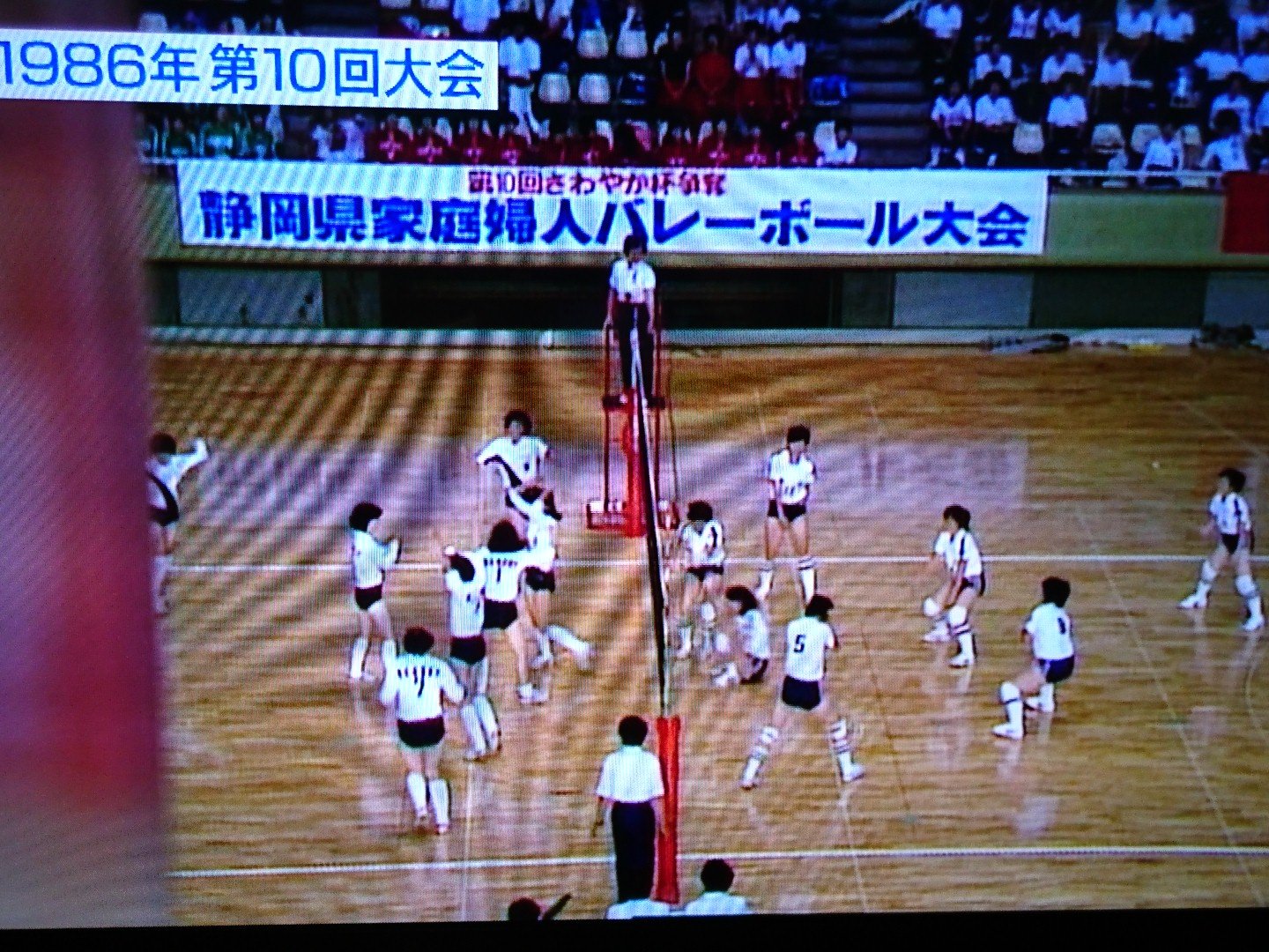 サヴァイヴSURVIVE on X: 僕の知ってるママさんバレーじゃない…だと…！? 昔は奥さんもﾌﾞﾙﾏだったのか(T_T)  べジータも嘆くわ(..) t.coL9FoT4CX4D  X