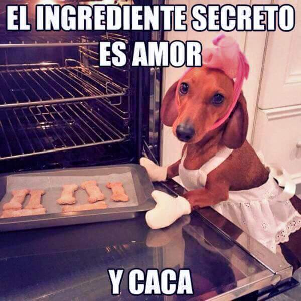 lolacomica's tweet image. Hola hola!
#humorperruno 🐶🐕😛