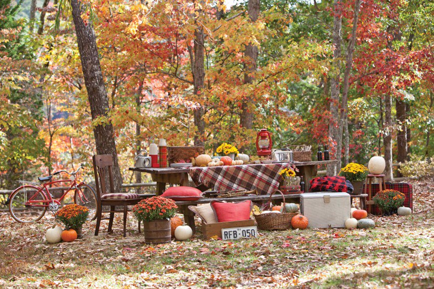 SouthernLadyMag's tweet image. Pack up the plaid and head to the mountains for an autumn picnic among the leaves. bit.ly/SLYautumnpicnic