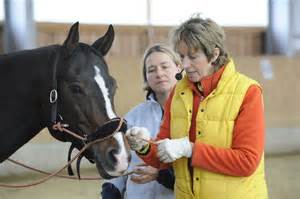 DtrailerL's tweet image. L &amp;amp; D Trailers joins the Connected Riding Horse Expo &amp;amp; Peggy Cummings-
 Sept 17 at the State Fairgrounds, Salem, OR