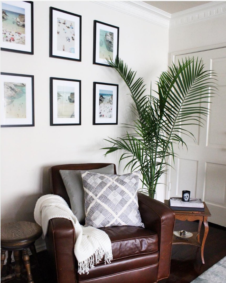 20x200's tweet photo. Let's grab a good book &amp; curl up in @bytanja's cozy corner dedicated to our very own @christianchaize! #artinthewild https://t.co/5fR39wWkgt