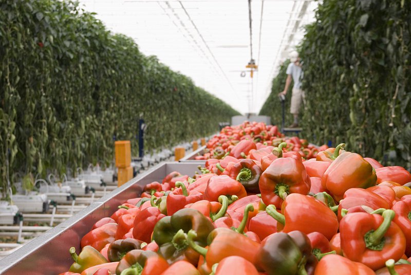 PrivaSolutions's tweet photo. Yet another reason for farmers to gain better insights into their operation #laboursolutions https://t.co/nOXuHh0s9R https://t.co/NnnaHrdsmV