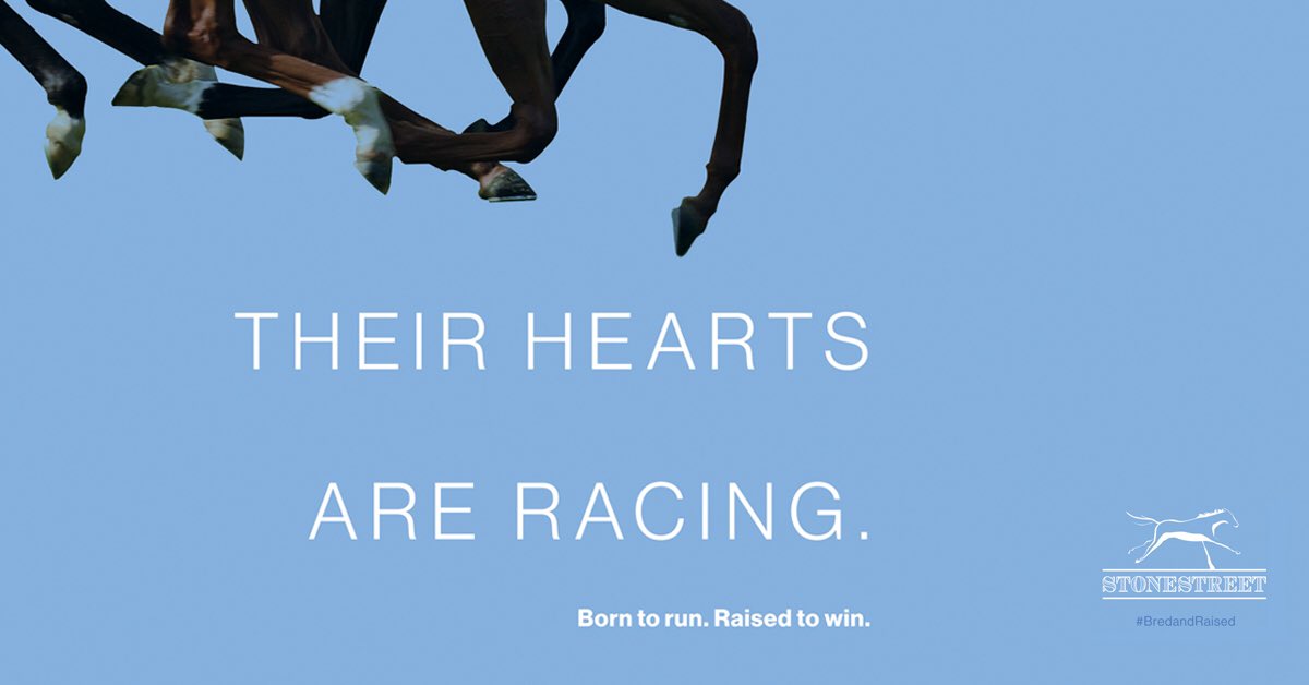 StonestreetFarm's tweet image. Born to Run, Raised to Win!