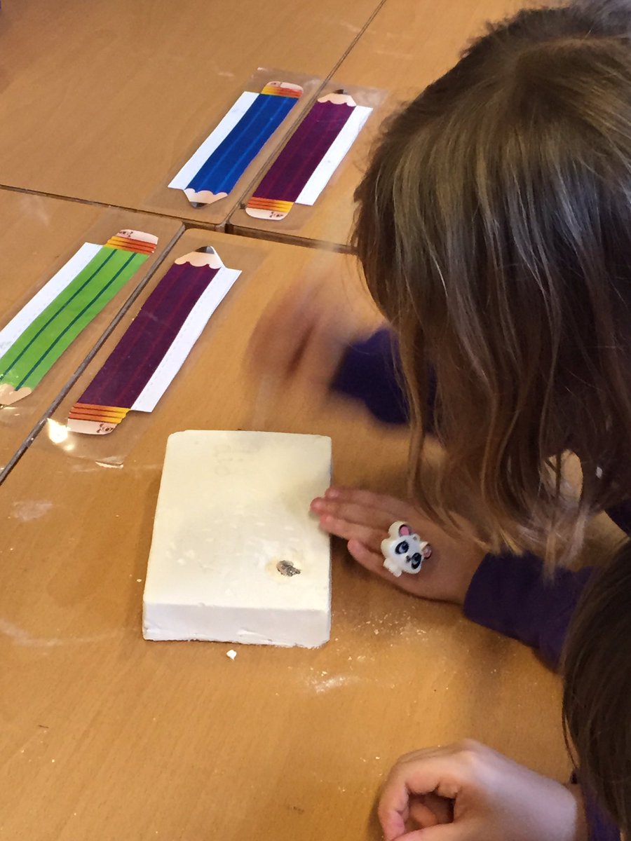 LangleesP4's tweet image. #diggingforfossils