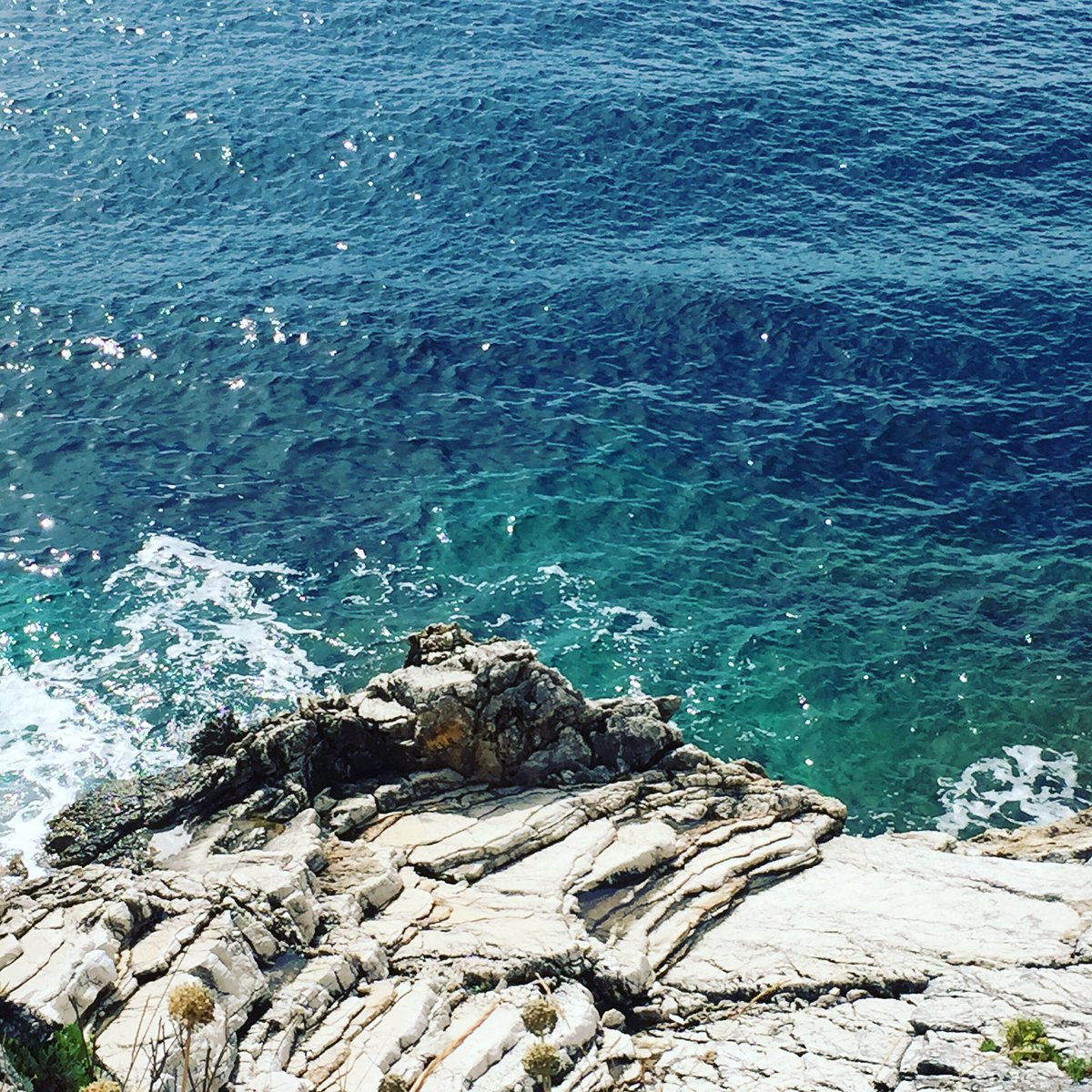 Ryan Elston (@ryan160185) on Twitter photo 