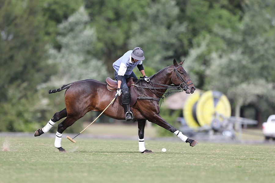 Pololine's tweet photo. #polotips Do you know you can now hire #horses ready to play Medium & High goal #polo? ○ https://t.co/Brr9sLKN9j https://t.co/MgPOssFU2G