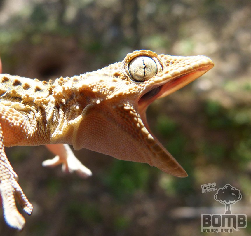 When you think it's Friday....but it's actually Wednesday. Grab a BOMB! #lightthefuse #bombnation #humpday