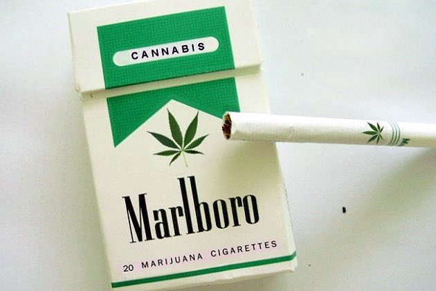 Мальборо сигареты с коноплей фото марихуаны сатива