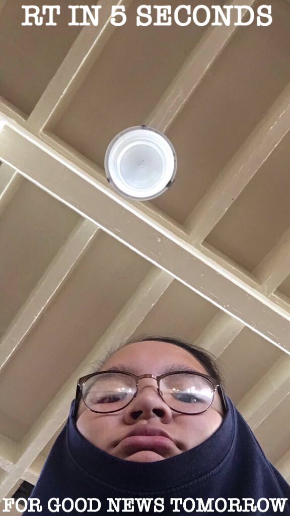 nyczach's tweet photo. OMG I WAS IN MY DORM ROOM AND THIS BIG ASS BUG WAS ON THE CEILING https://t.co/fE7ve91Fqg