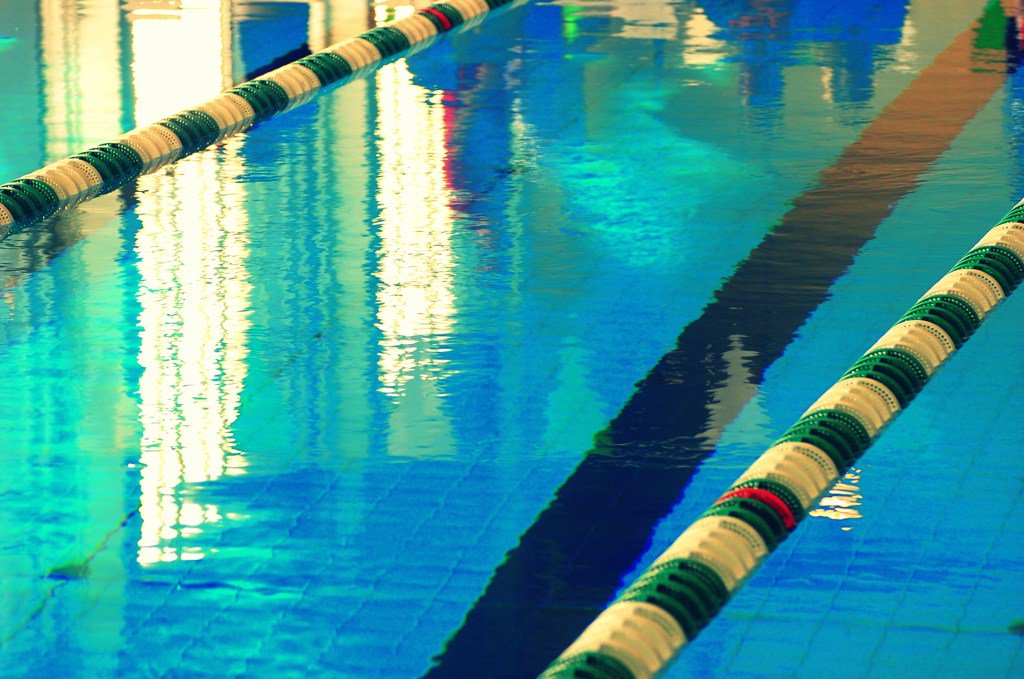 Distance Freestyler Chase Seal Verbally Commits to McKendree Bearcats swimsw.am/zqn