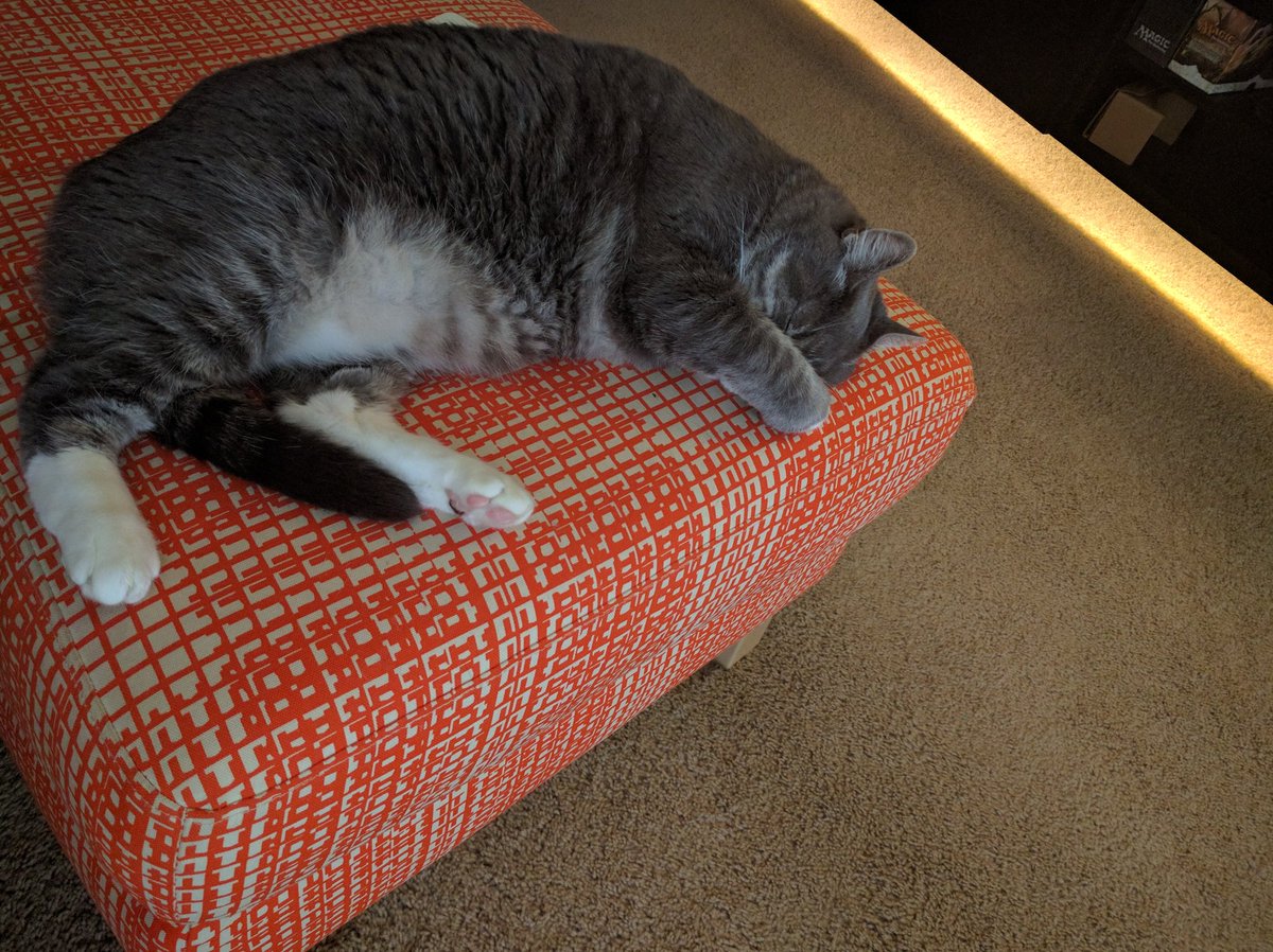 Magandaloaf's tweet photo. Don't EVEN talk to me until I've had my coffee. https://t.co/uUYzsUFHTM