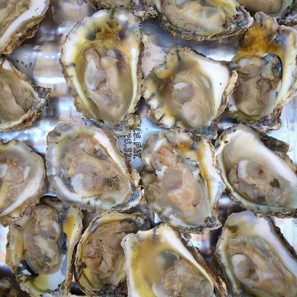 RemsbergInc's tweet photo. Some of us are out of breath and all of us are fat.
#oysters #aquaculture #hoopersisland #leadmd https://t.co/Uv2NAoQX1b
