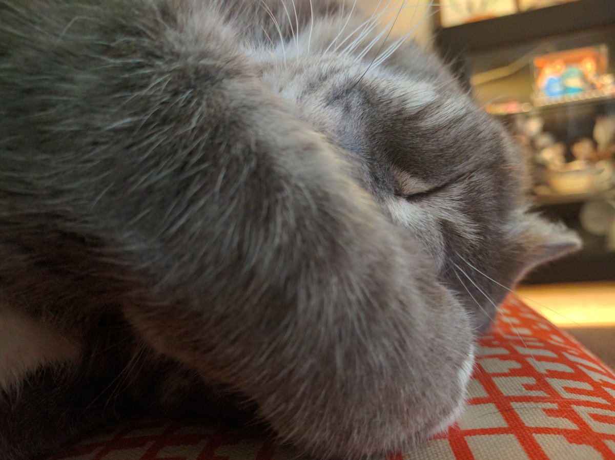 Magandaloaf's tweet photo. Don't EVEN talk to me until I've had my coffee. https://t.co/uUYzsUFHTM