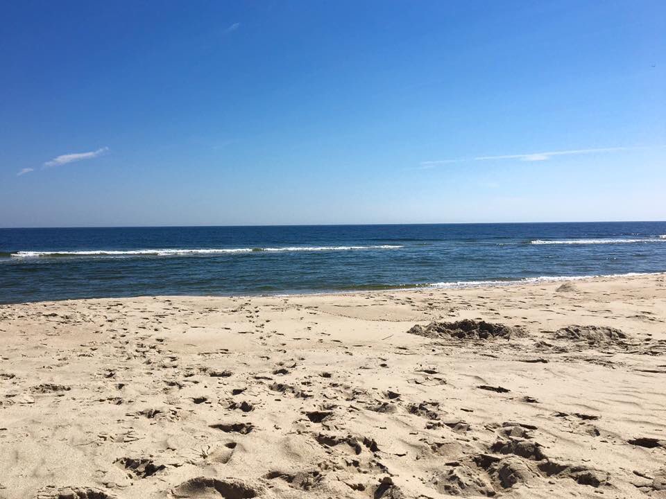 Wonderful weather in the park today! Perfect time of year to enjoy Sandy Hook's natural and historical treasures.