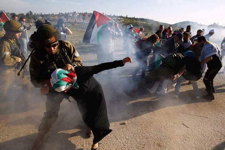 MNLS2's tweet photo. #FreePalestine
#RumboAGaza
#EndPalestinianGenocide
#EndCheckPoints
#WakeUpWorld
#PeaceAsAConsecuenceOfJustice https://t.co/IzbzYmxysi
