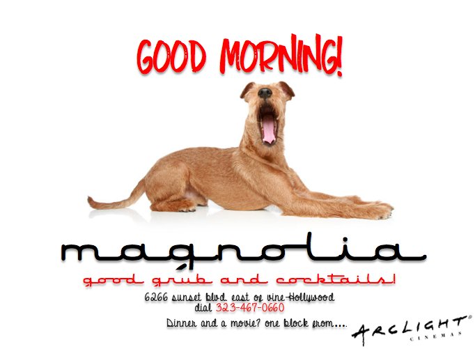 magnolialala's tweet photo. Lunch, Dinner &amp; Cocktails! @magnolialala #LUNCHBREAK #dinner #hollywood #cocktails #HappyHour https://t.co/IHHIbqCB3F