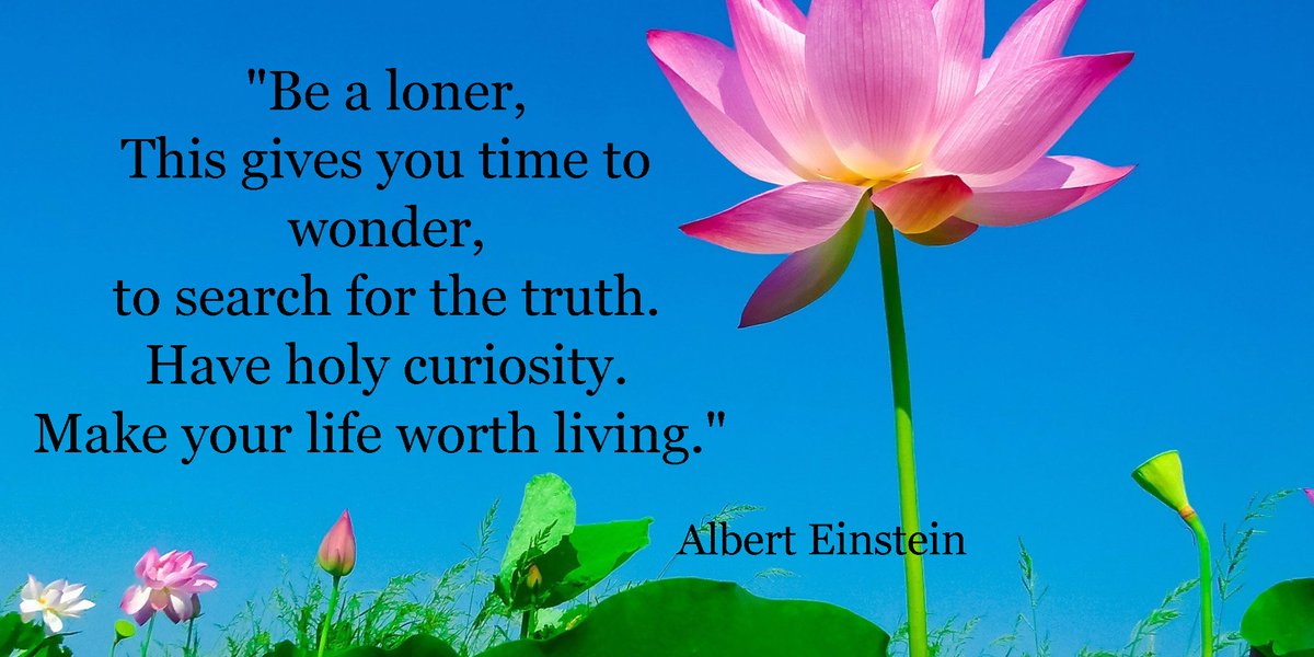 ConnieZen's tweet photo. Love Einstein Quotes!! https://t.co/d2ZxBJUde4