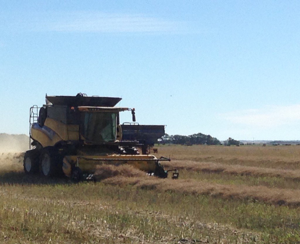 MeetingsCanada's tweet photo. Watching combines @ https://t.co/wFYtPvrcLC Thx to Dan for great tour! @FarmFoodCareSK #lovesaskfood @VisitSaskatoon https://t.co/9wNeuVnnL8