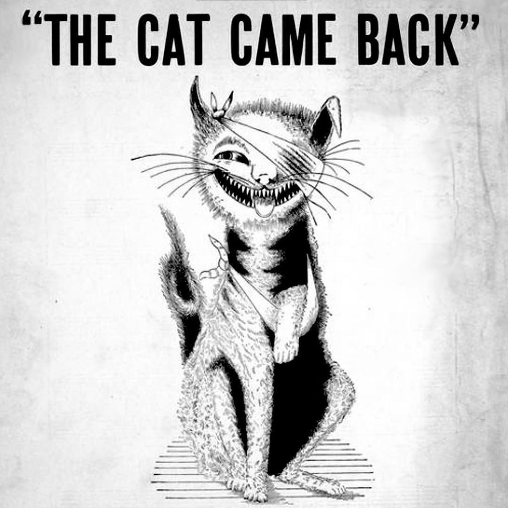 Hildred_Rex's tweet photo. Look what Hildred dragged in...
#horror #horrorstory #shortstory #HildredRex
#amazon https://t.co/uNB7L9qVOp https://t.co/0PgkAiKZVM