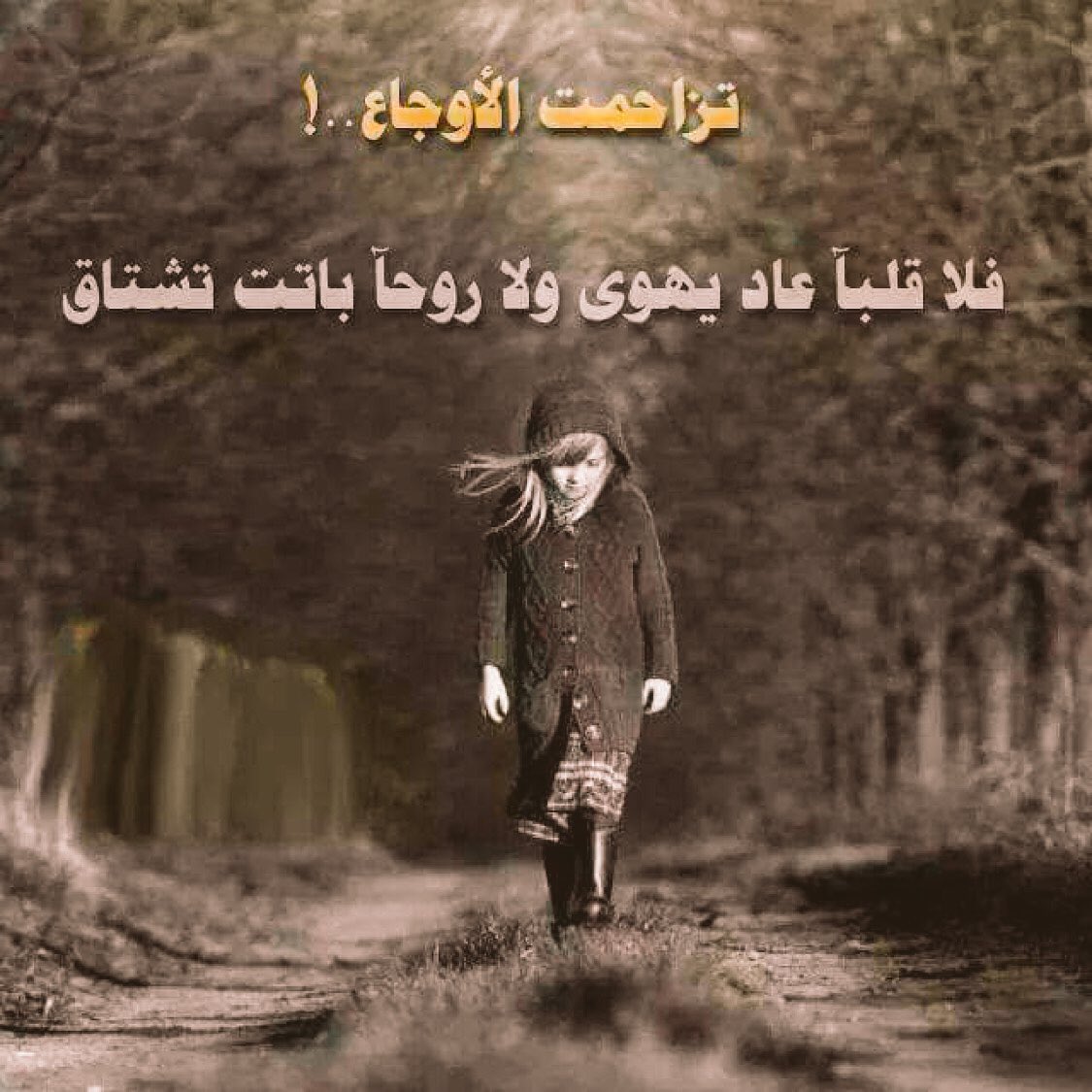 7neen11_3's tweet photo. https://t.co/oBbw63tIl2