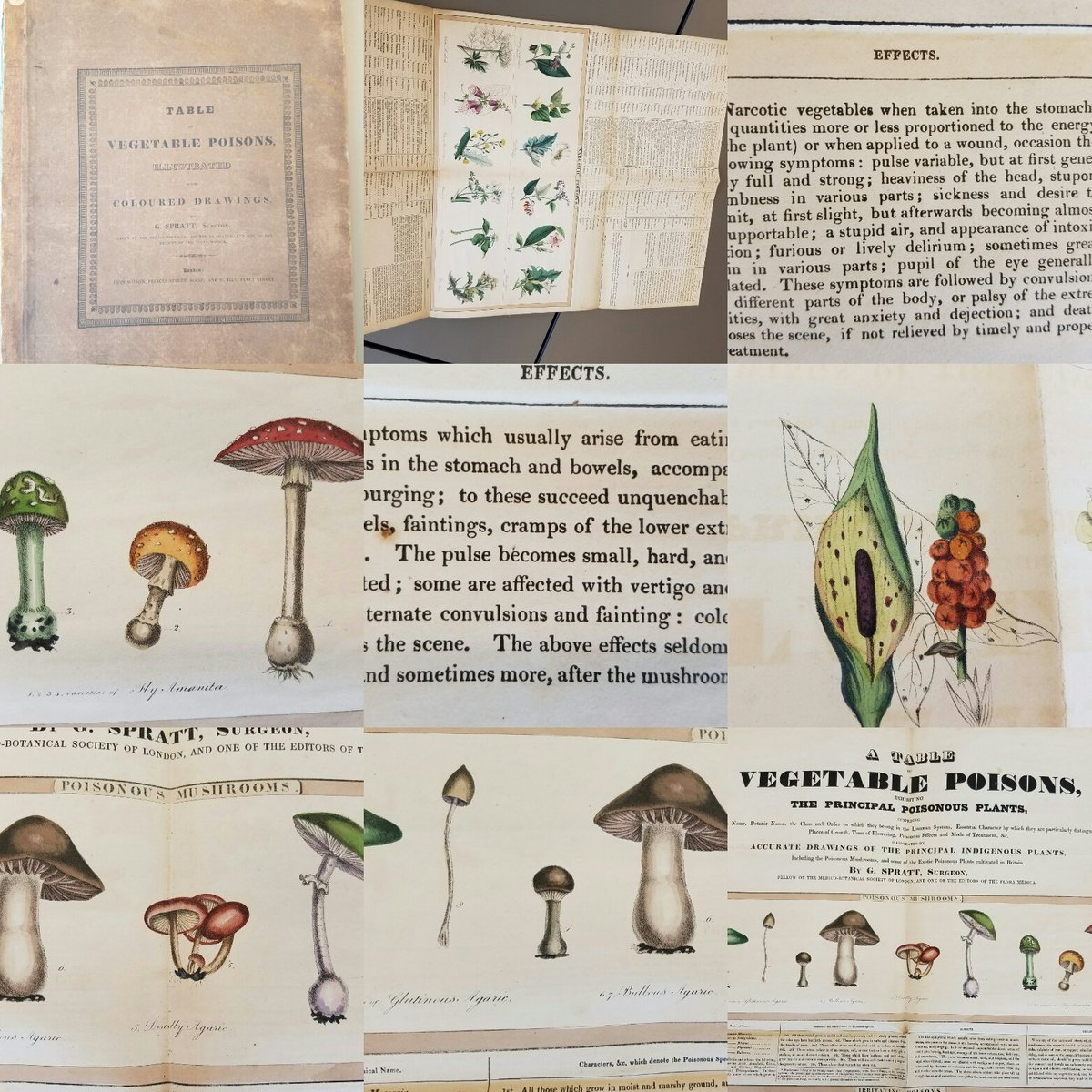 #shamelessself-promotionmonth @Sutrolibrary one of many gorgeous botanical&medical books.Lithographs,1843.
