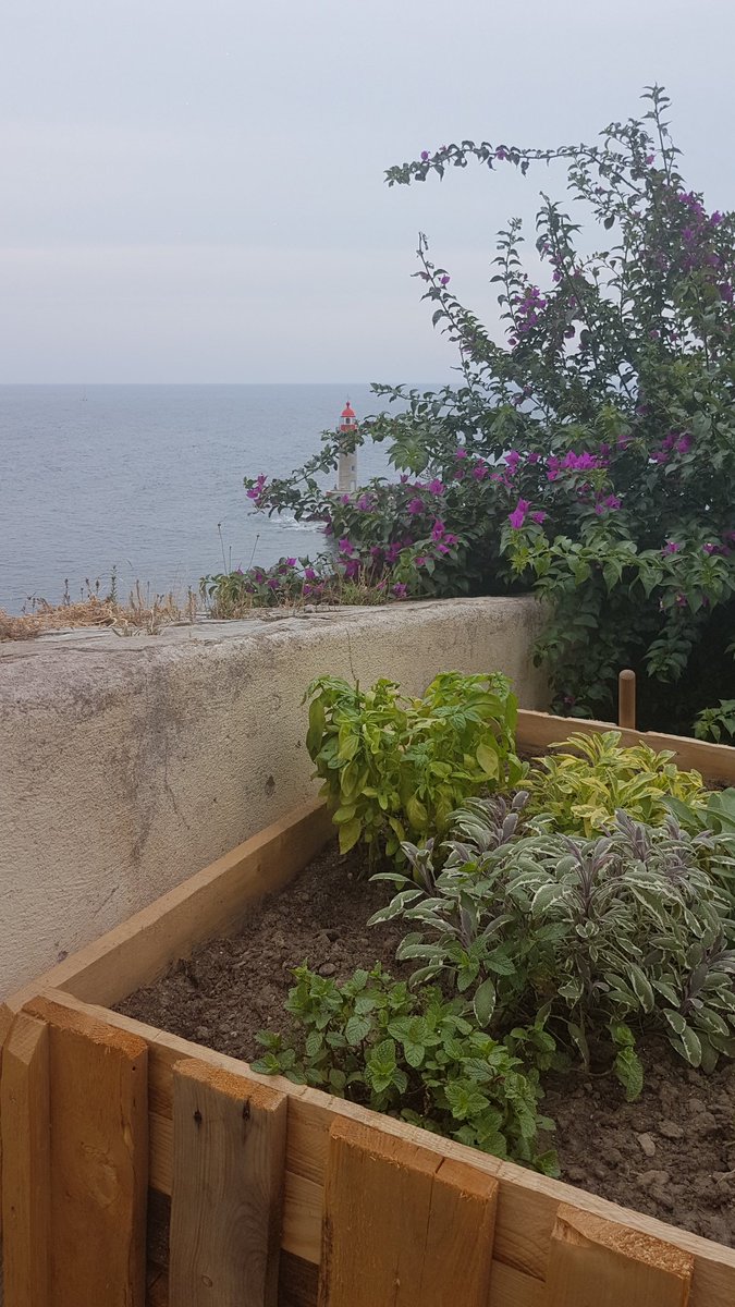 Cita_Bastia's tweet photo. Orte participative di a Ripa in Citatella di #Bastia ! @demlucaleBastia https://t.co/VMFLjrwtFl