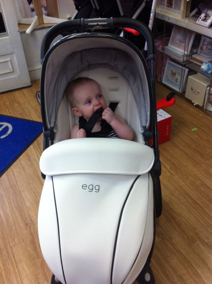 arctic white egg pram