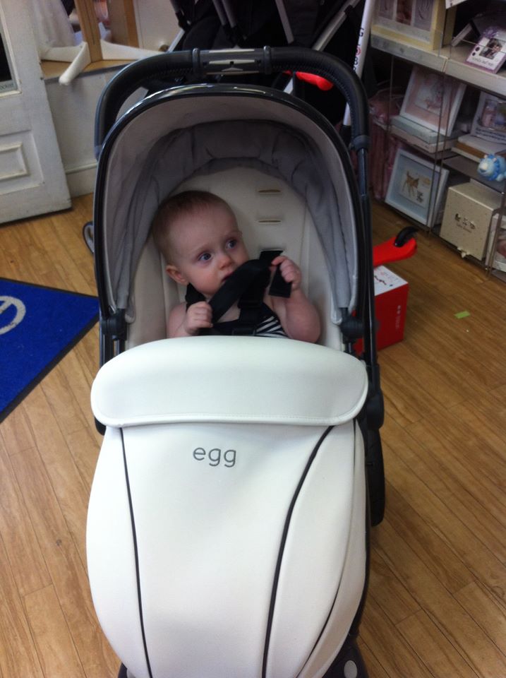arctic white egg pram