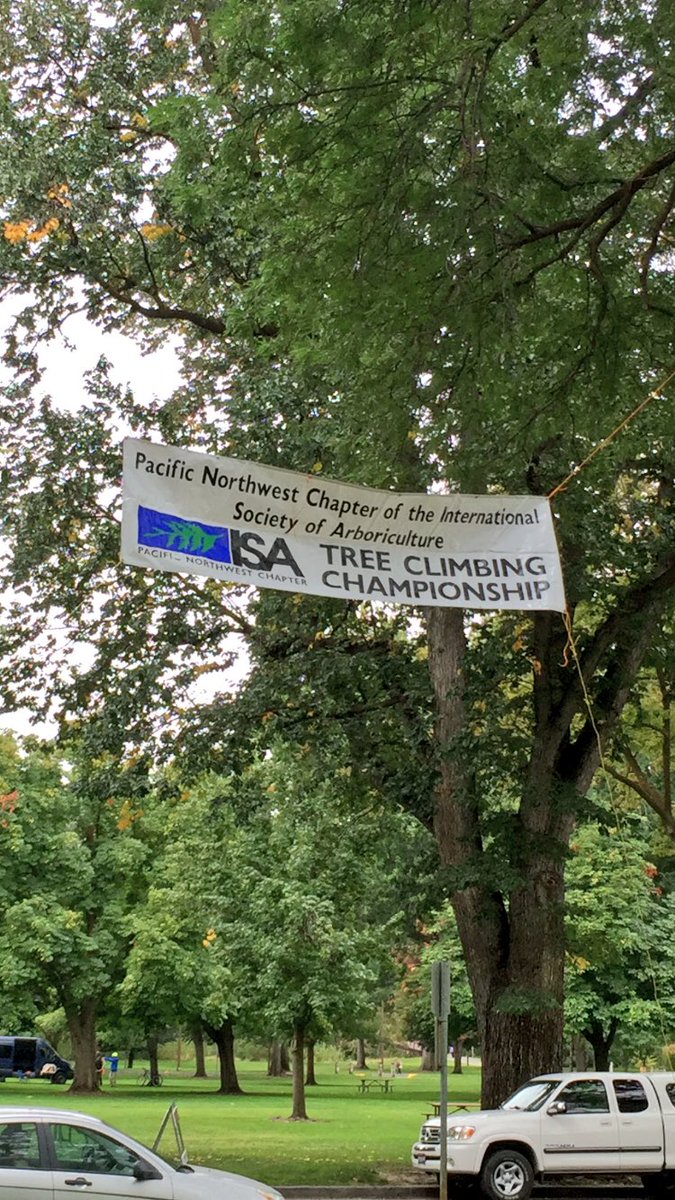goodtreepeople's tweet photo. Hey, that wasn't there yesterday! Getting set up for the Tree Climbing Championship #PNWISA2016Boise https://t.co/UUDJfSEHAa