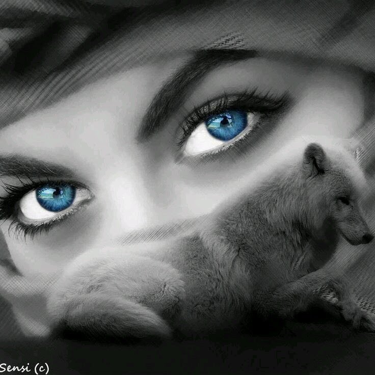 singtoo_andy tweet picture