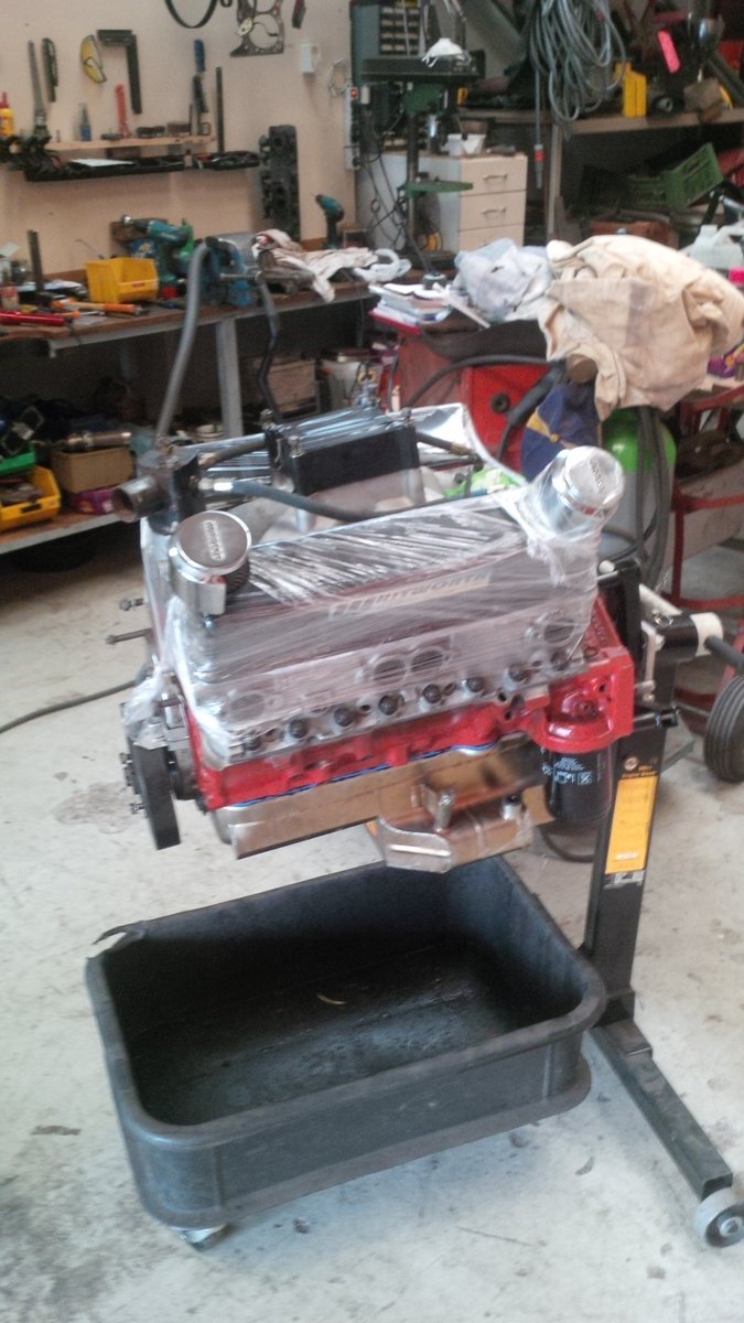 This one is ready to rumble