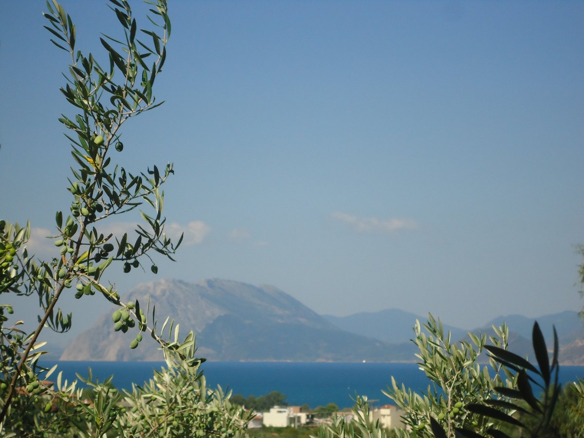 upatras_greek's tweet photo. Learn more about #GIGProgram (#GREEK in #GREECE). An immersive langusage studyabroad program https://t.co/BHaNHDqERa https://t.co/aIrjZq5CzU