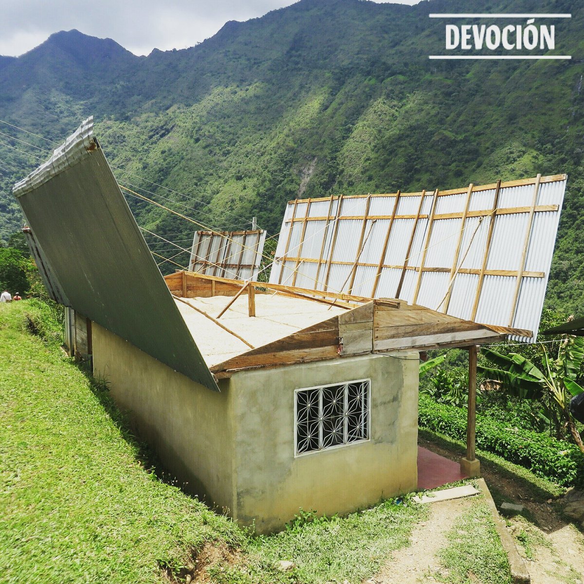 Cafe Devoción tweet media