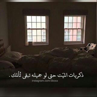 Almal1999gmail1's tweet photo. إلى قبر فقيدي  الذي  اشتقت إليك وبآت الشوق يشيب بي ، عليك رحمة ربي حتى التقيك بجنان الخلد والنعيم 💔 https://t.co/s5mHLP6M1L
