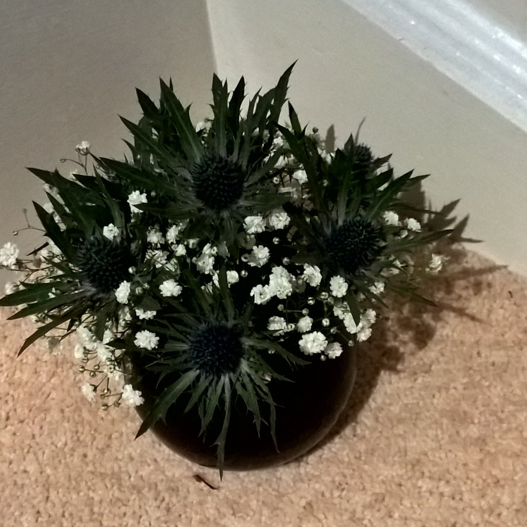A little arrangement with blue eryngium and gypsiphila <a href="/BNIVictoryHS/">BNI Victory Halstead</a> visitors' day @BrokeHillGolf @MumsTrustedBR