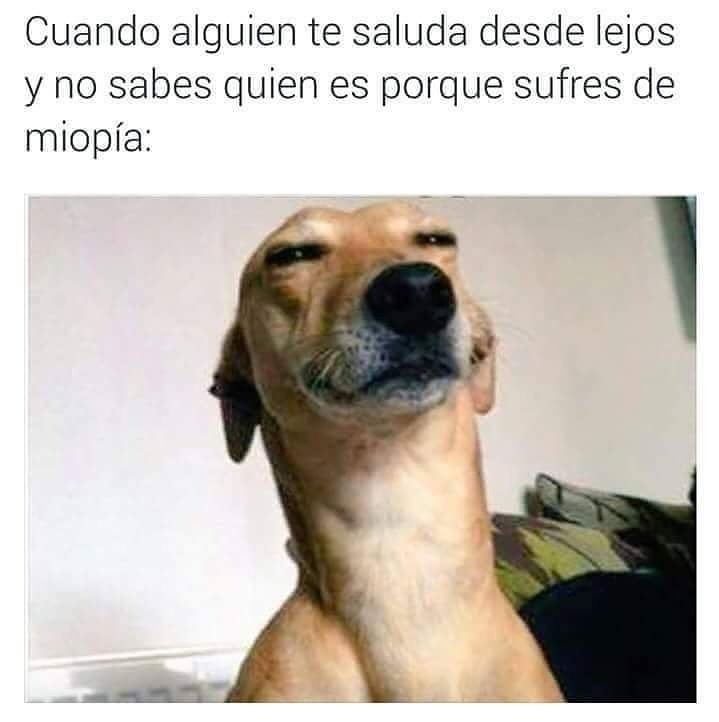 MejoresTwits's tweet photo. Mi vida https://t.co/NxvQZ4ZKiw