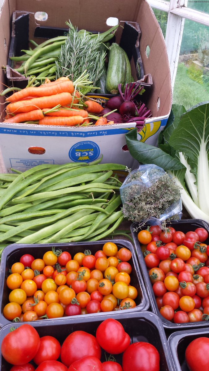 thevegpatch1's tweet photo. . A selection of goodies for The Wilds Enniscorthy #localfood https://t.co/P0NkpiuD4A https://t.co/ghsluGpgOE