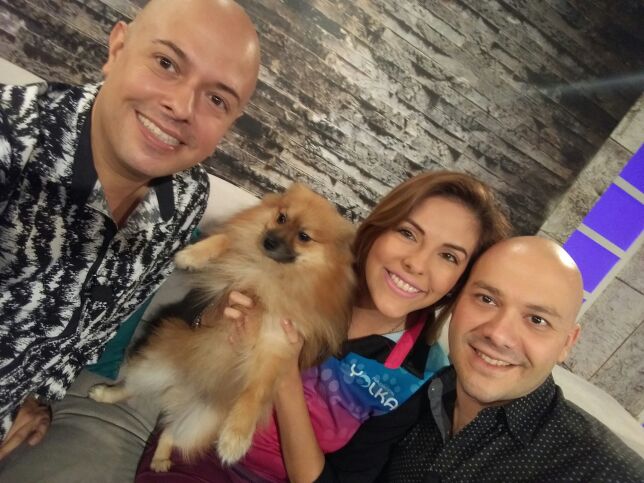 RamiiroCantu's tweet photo. >>> Adopta una mascota @FundacionYolka @karlitzmv @PabloMorton @vidayestilo_tv https://t.co/qV1vrHJXX8