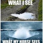 Photo by Equestrian.com (@equestriancom)