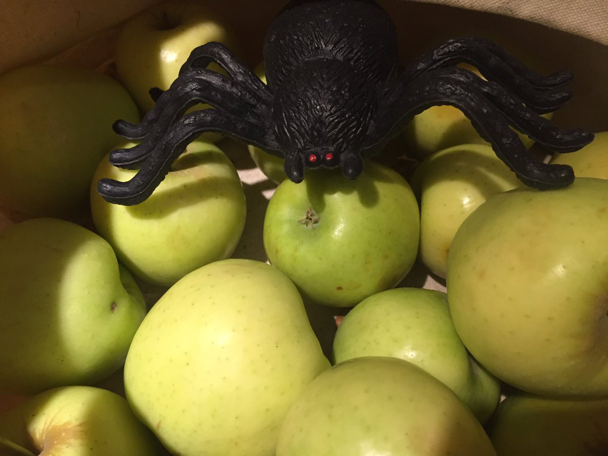 KTVUSpider's tweet photo. Don't let 1 bad apple spoil the bunch! 🍏🕷 #DrinkGoodDoGood https://t.co/cn6GYNjzxI
