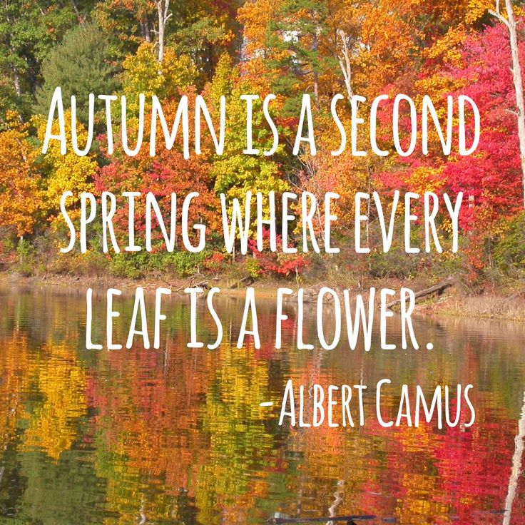 DailyLifeBuff's tweet photo. Enjoy every season. #ilovefall #beprepared #kbhomebuilders https://t.co/pwkpLCAyCU